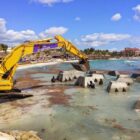 Seaweed Cleaning and Sargassum Handling Solutions