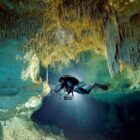 Seaweed Cleaning and Sargassum Handling Solutions